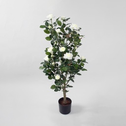 [146-12023] Rose Tree (Alternative 4)
