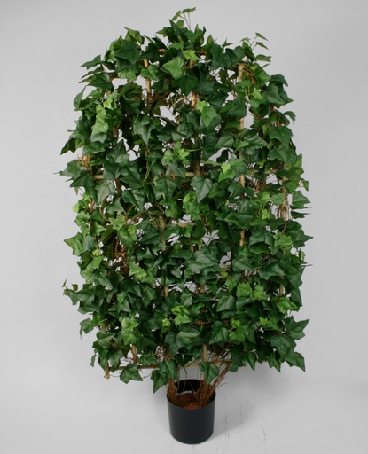 [1037-150] ivy fenche 