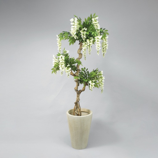 [52-170-02] wisteria 