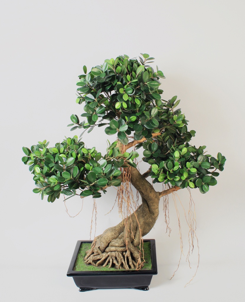 bonsai panda 