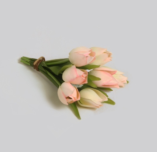 Tulip Bundle