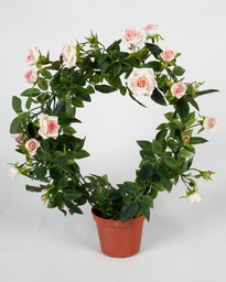 [181a-09] Mini Rose (Alternative 2)