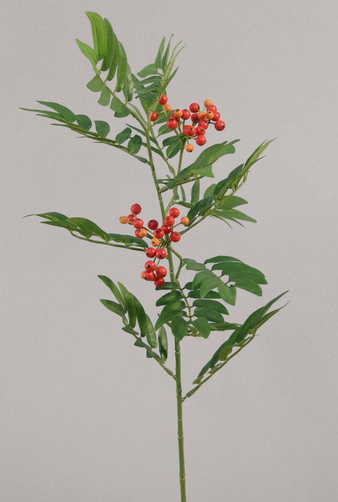 rowan berry spray 