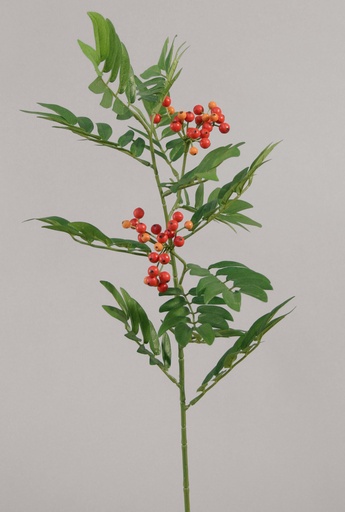 rowan berry spray 