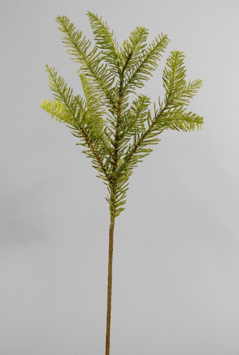 [9173] picea spray 