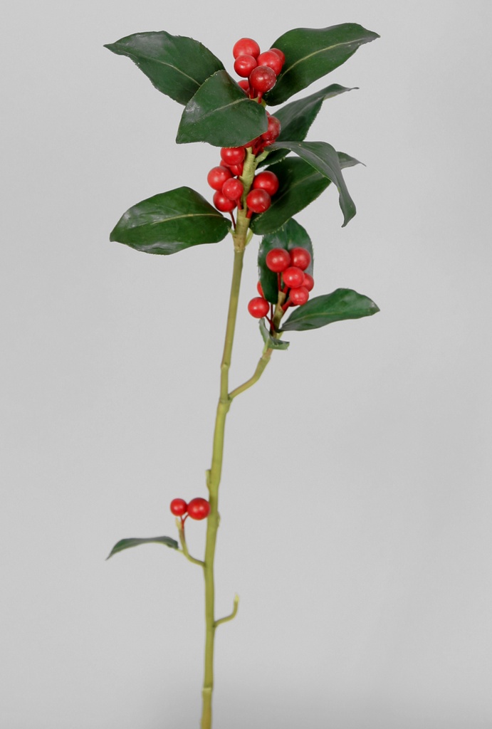 Holly spray 
