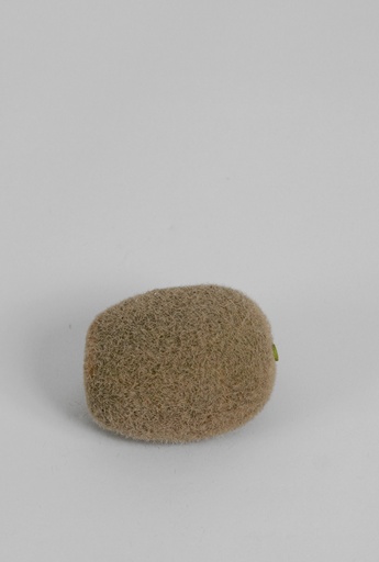 [9252] kiwi 