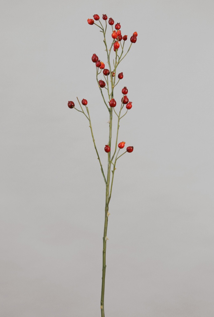rosehip red 