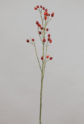 [9294] rosehip red 