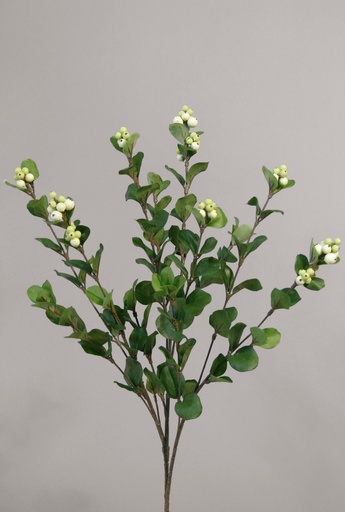 snowberry spray white 