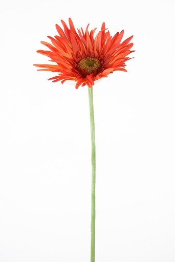 [9116-5] gerbera orange 