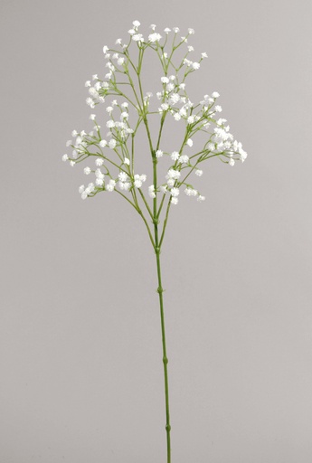 [9145-1] gypsophila 