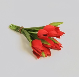 [7191] Tulip Bundle (Alternative 4)