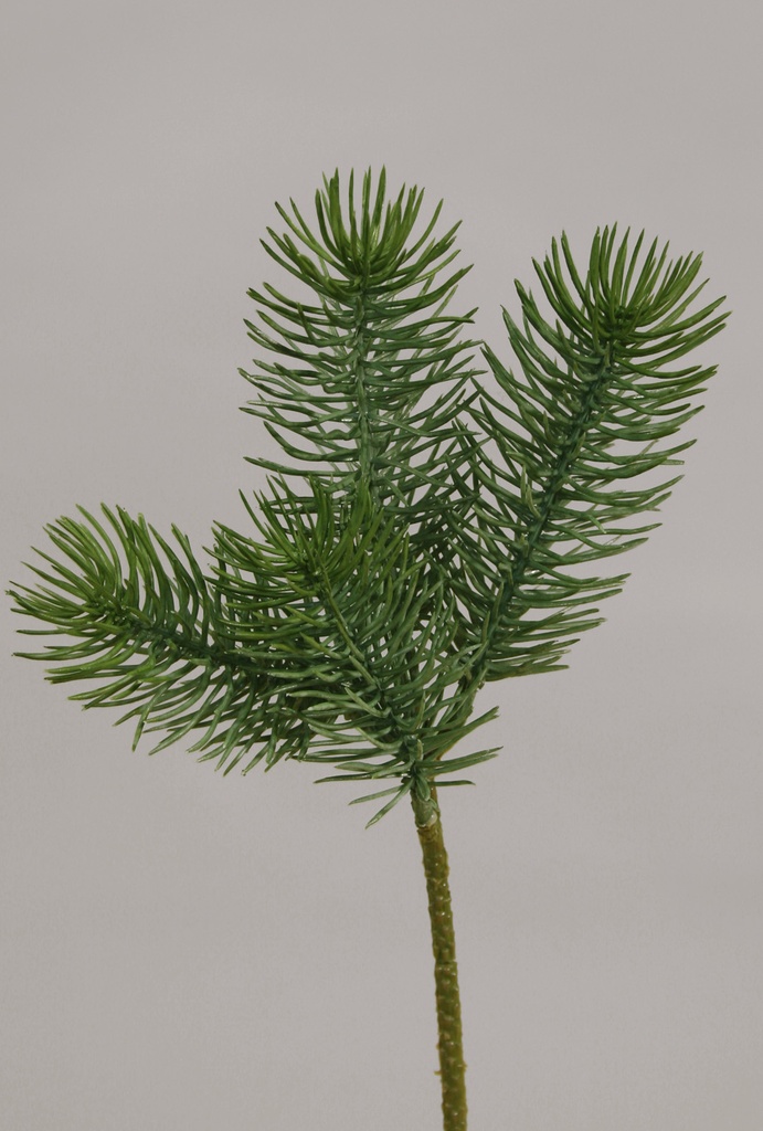 picea pick 