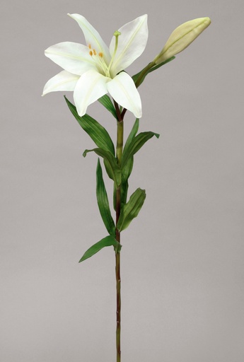 [9457] easter lily cream 