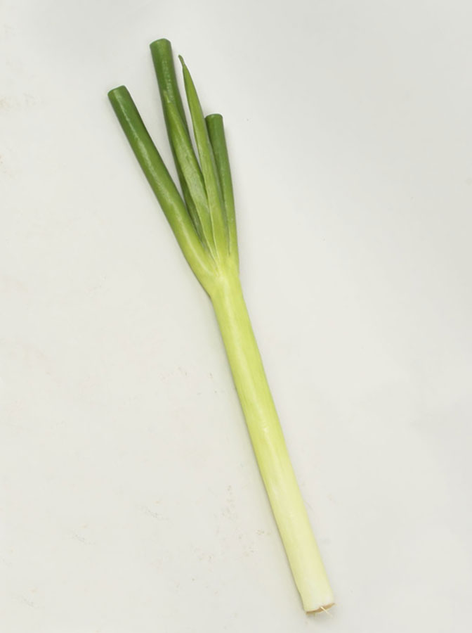 leek 