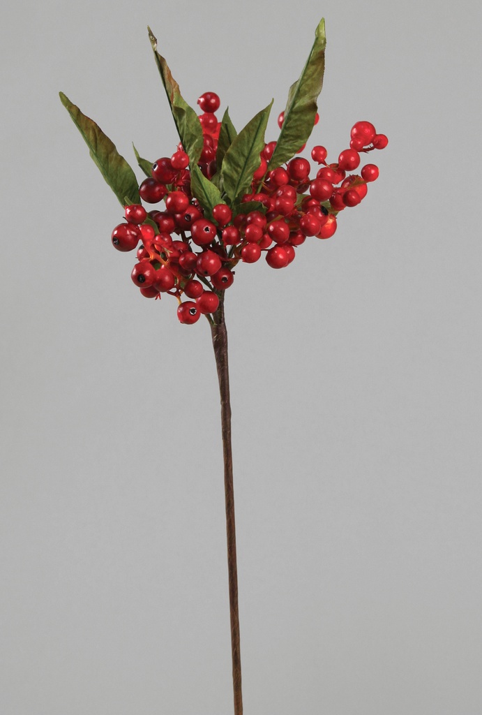 berry red 