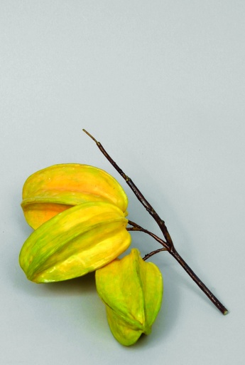 [9653] star fruit 