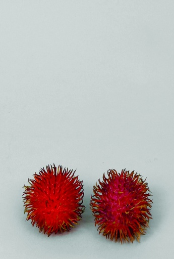 [9689] rambutan assorted 