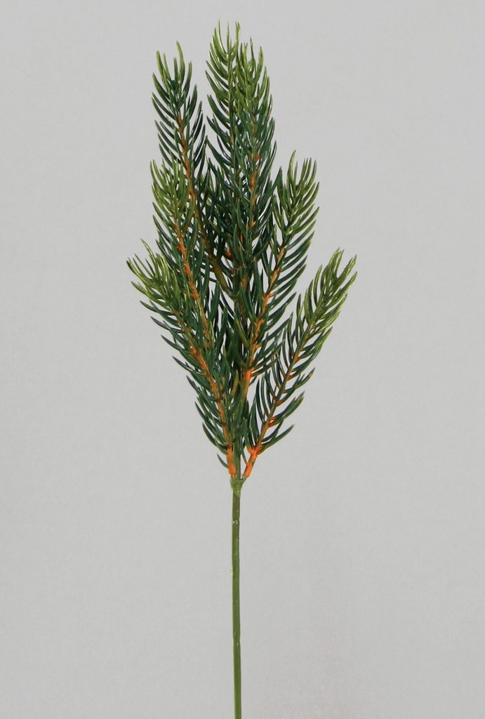 picea pick 