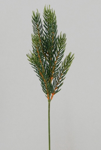 picea pick 