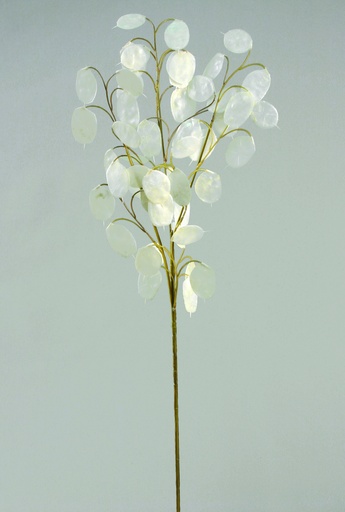 silver dollar spray 