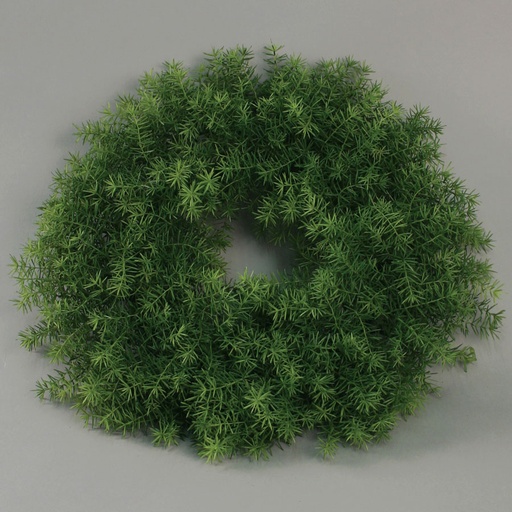 [9755] asparagus sprengeri wreath 