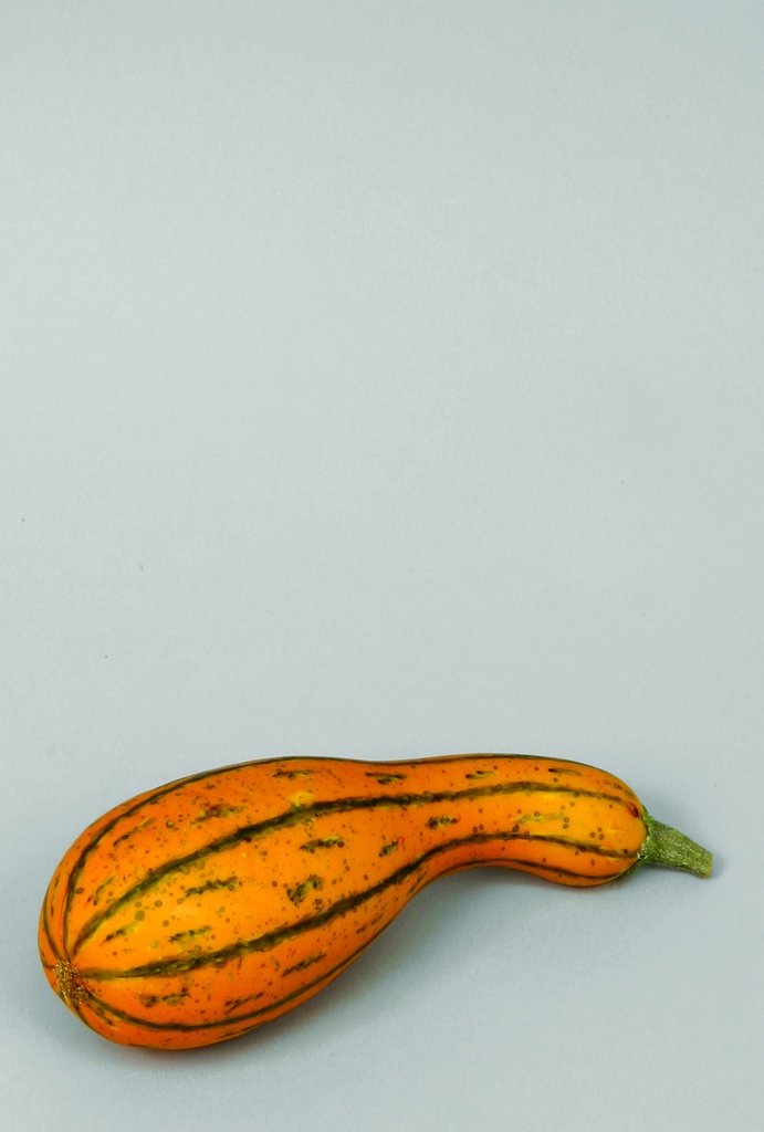 gourd neck 