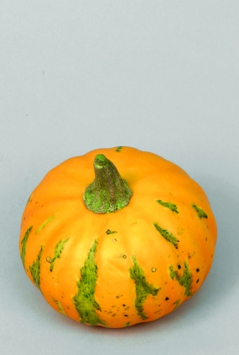 [9801] gourd 