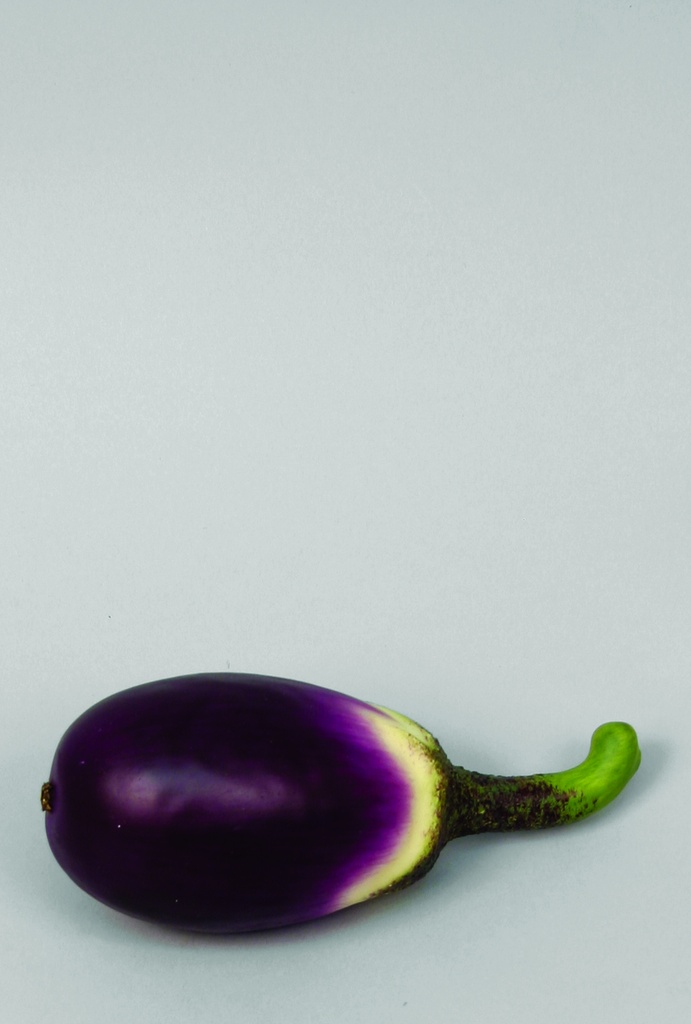 eggplant 