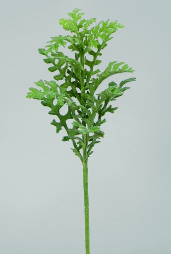 [9807] fern spray 