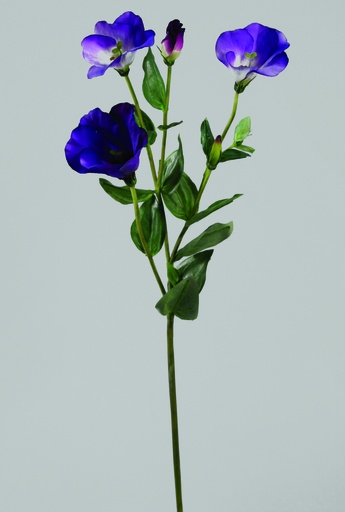 [9822] lisianthus purple 