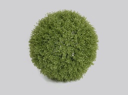 [2314] Boxwood Ball (Alternative 2)