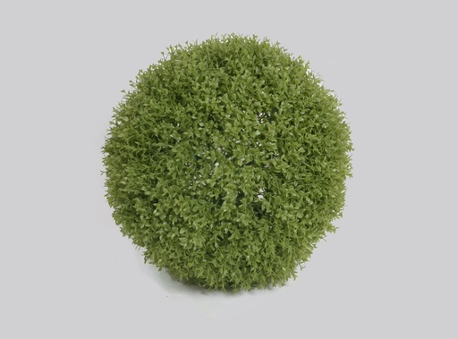Boxwood Ball
