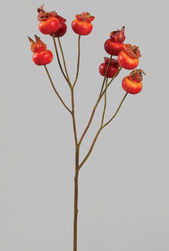 [9857] rosehip red orange 