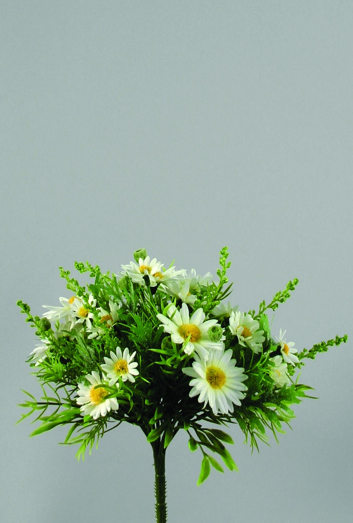 daisy bouquet cream 