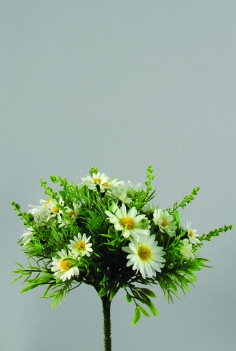 [9975] daisy bouquet cream 