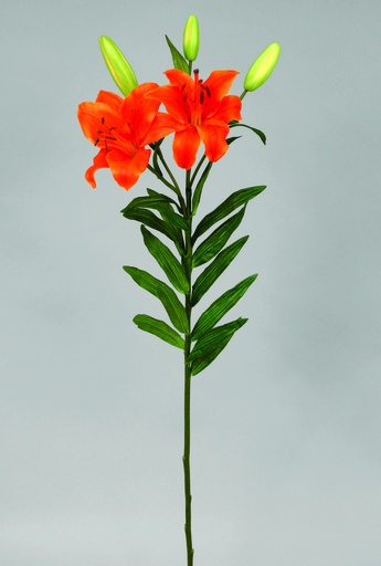 [9599-1] Tiger lily orange 