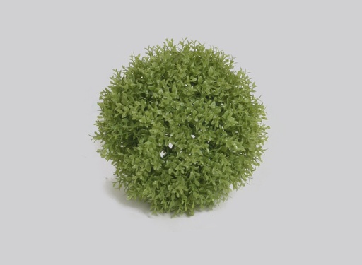 Boxwood Ball