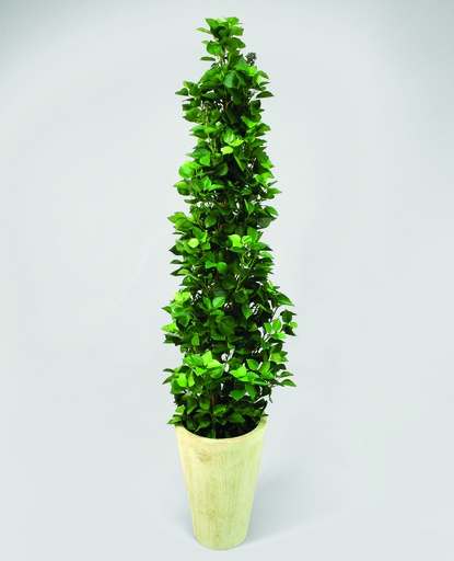 [1101-160] hedera ivy 