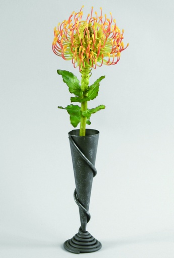 [9938] protea in vase 