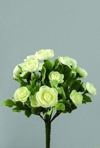 mini ranunculus 