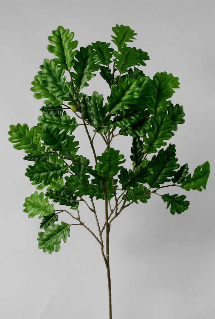 oak spray 