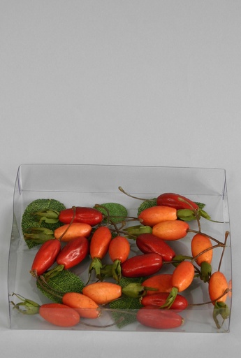 rosehips in box 