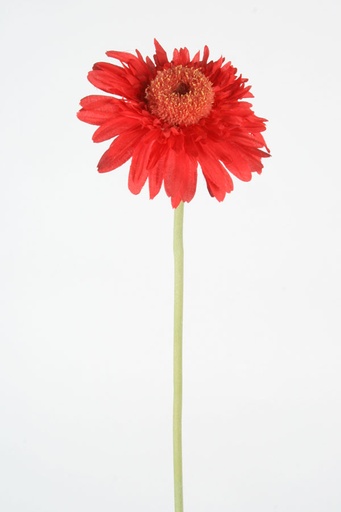 [9959] gerbera red 