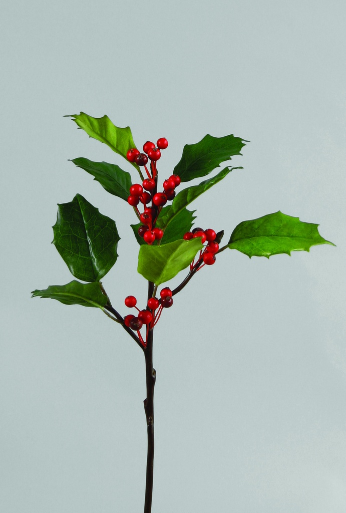 holly spray 
