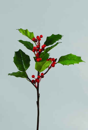 holly spray 