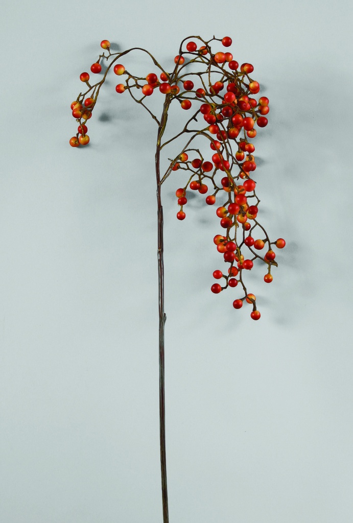 hanging berry spray 