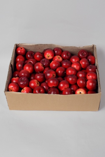 [5420] apple red 