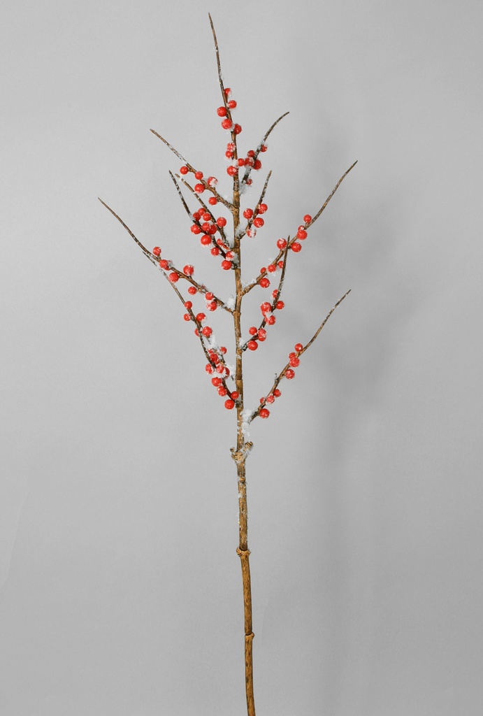Berry spray 
